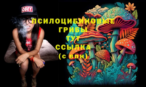 сатива Алексин